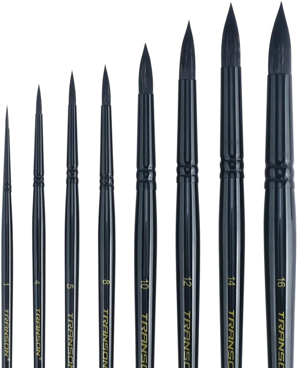 8pcs Round Watercolor Paint Brush Set Goat Hair for Watercolors,Acrylics,Inks,Gouache,Oil and Tempera Black Color